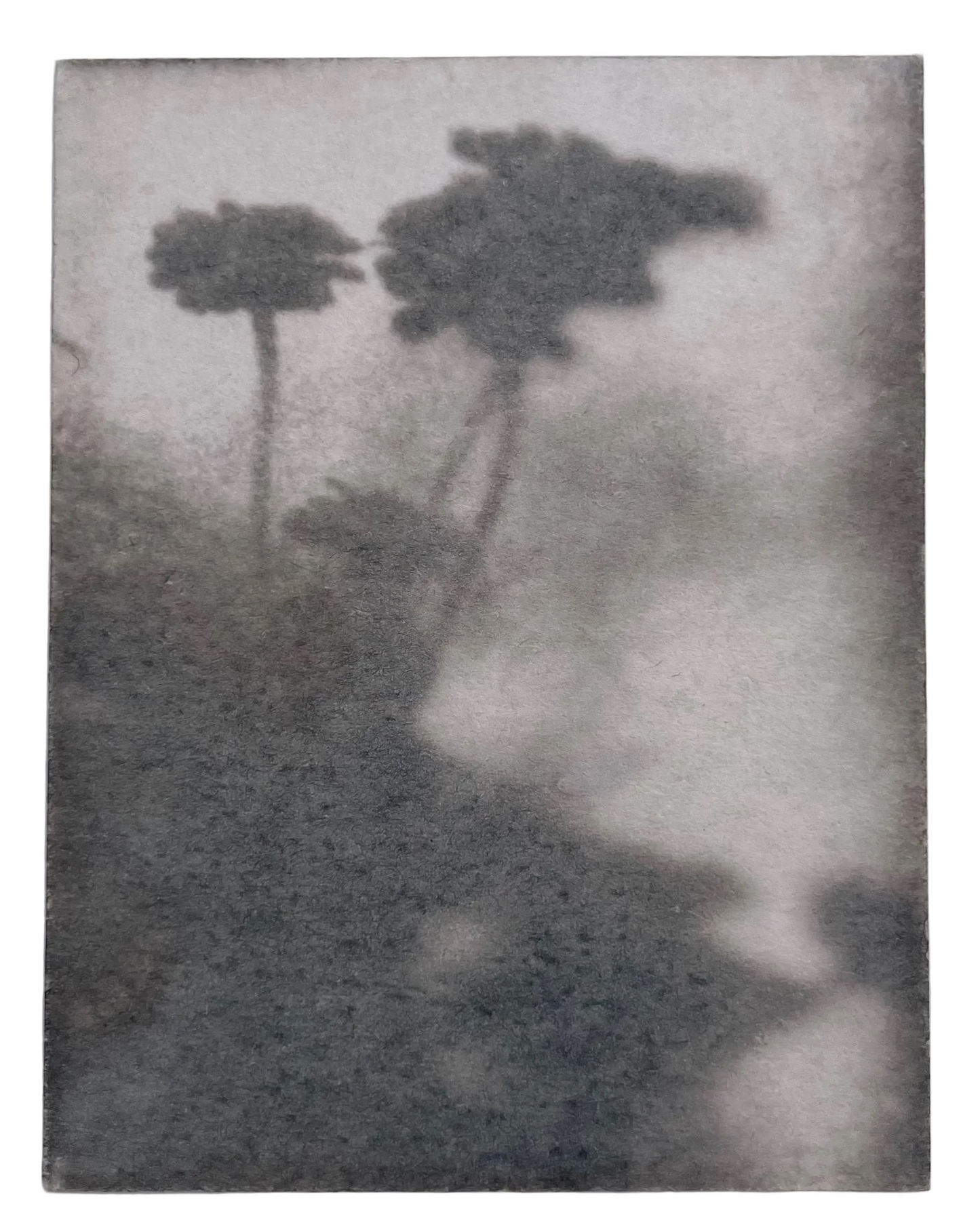 Wendy Small, Toned Cyanotype, Morning Shadows 3 (5x4)