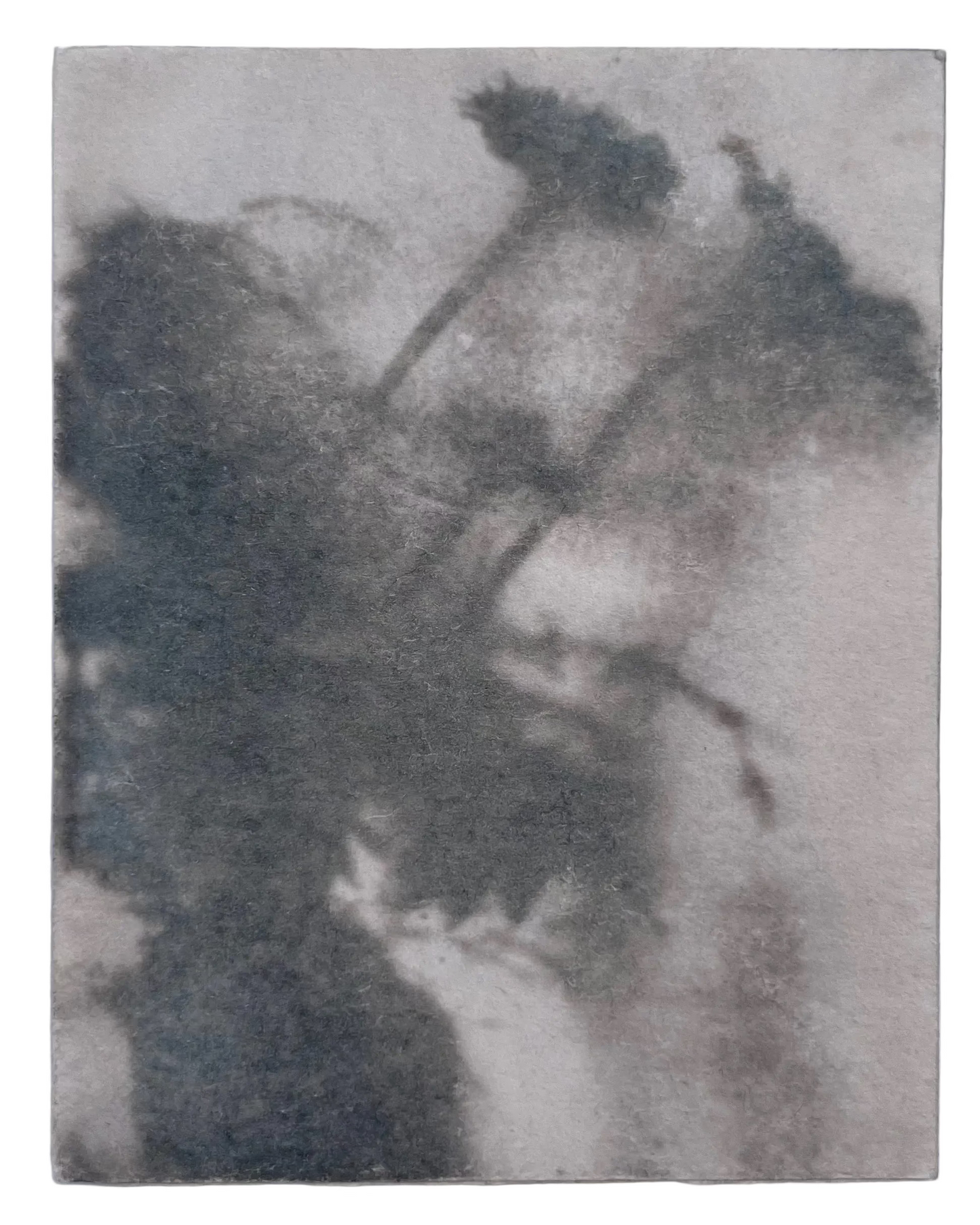 Wendy Small, Toned Cyanotype, Morning Shadows 4 (5x4)