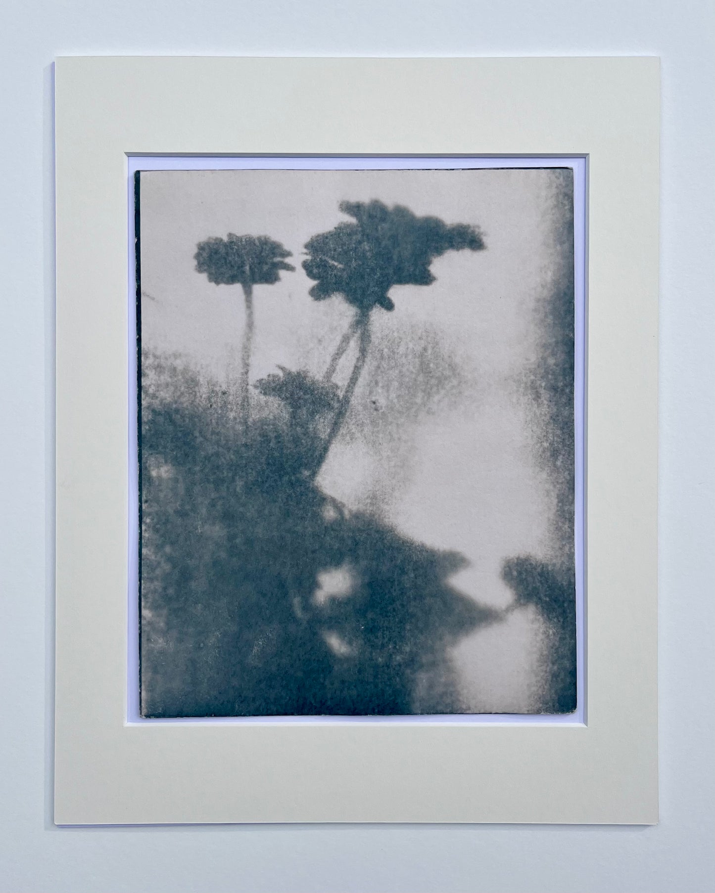 Wendy Small, Toned Cyanotype, Morning Shadows 3 (10x8)