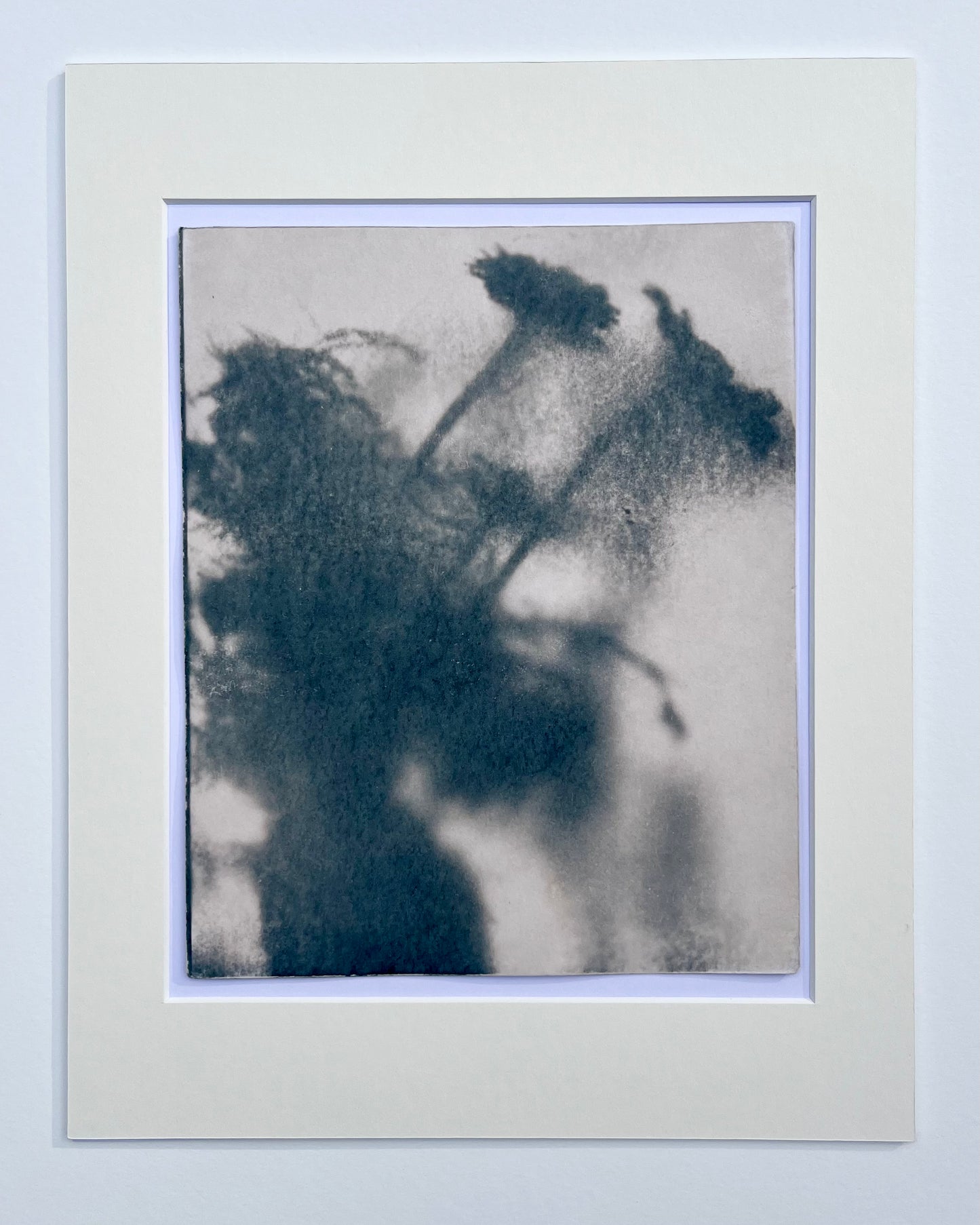 Wendy Small, Toned Cyanotype, Morning Shadows 4 (10x8)