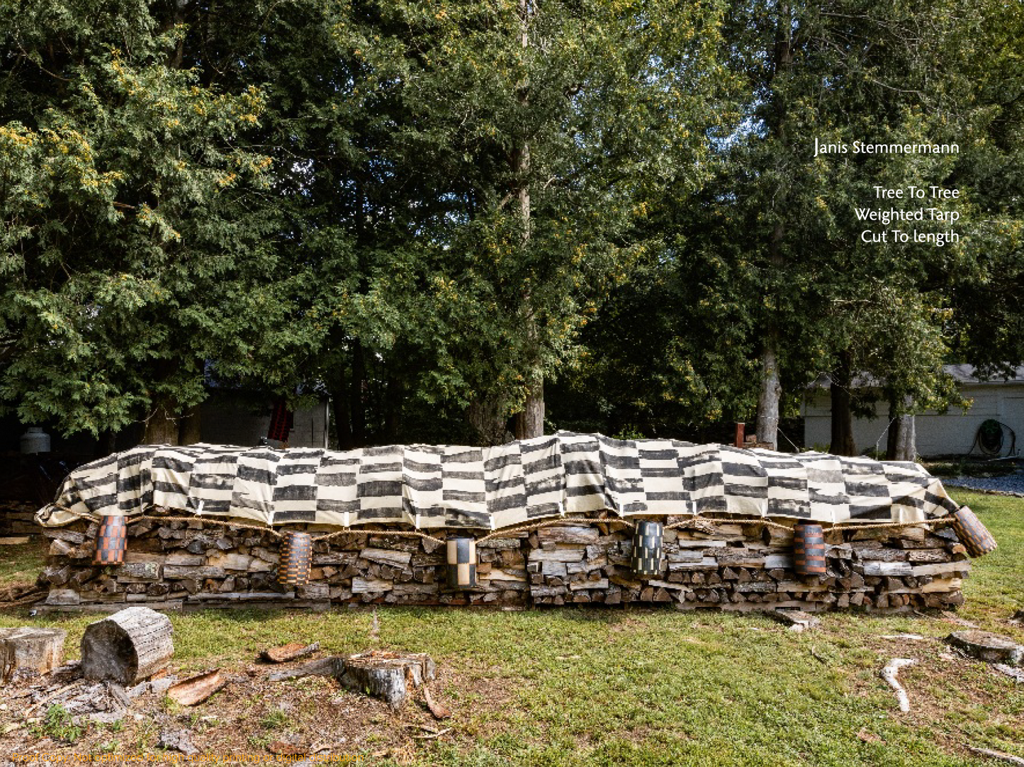 Janis Stemmermann Catalog