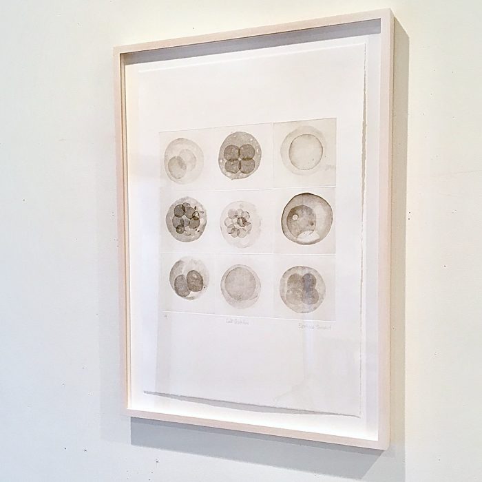 Beatrice Steinert Edition, Cell Sketches