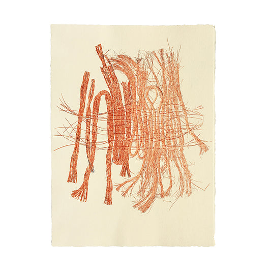 Molly Haynes Monoprint, Sisal and Synthetic Weave 2