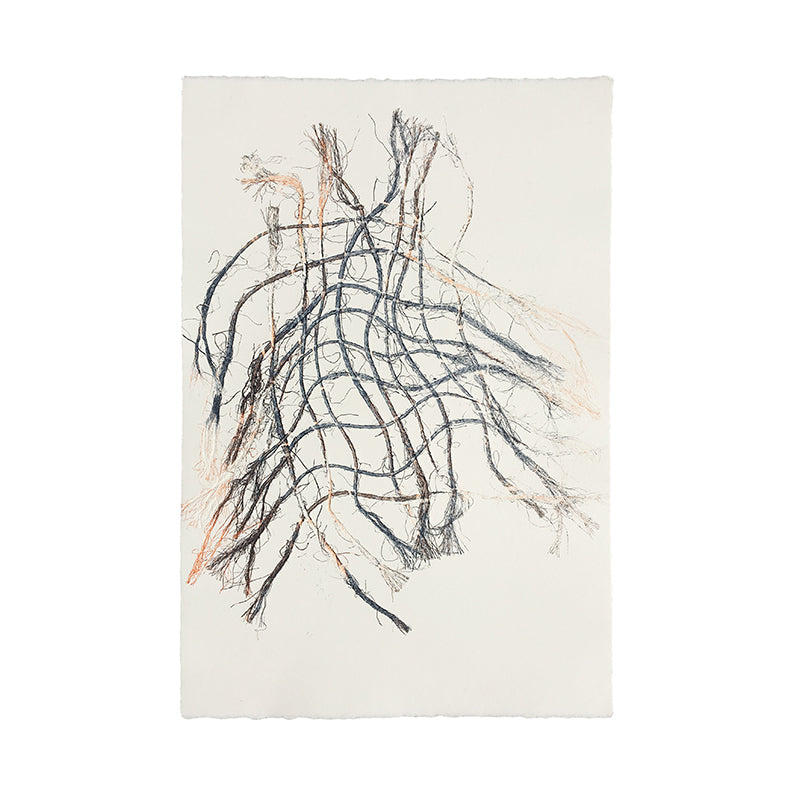 Molly Haynes Monoprint, Sisal Weave 2