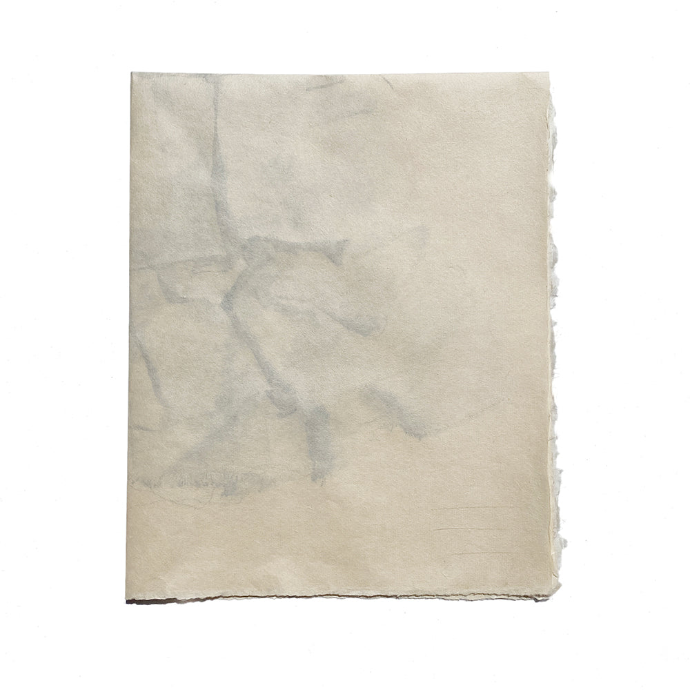 Annie Coggan, Silkcreen Edition, Reaction 1