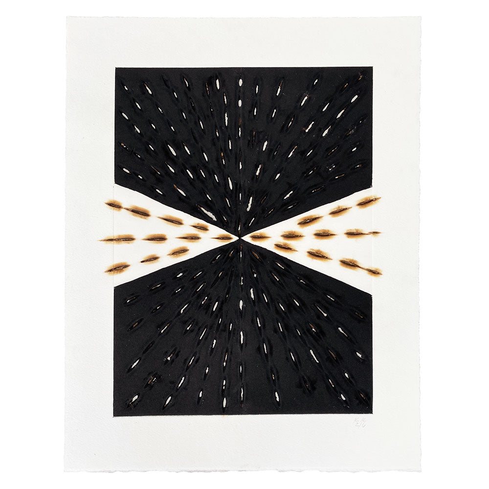 Kathleen Kucka, Variable Edition, Vital Force, Burst