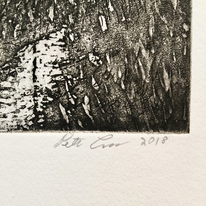 Peter Cross, Etching Edition, Twilight