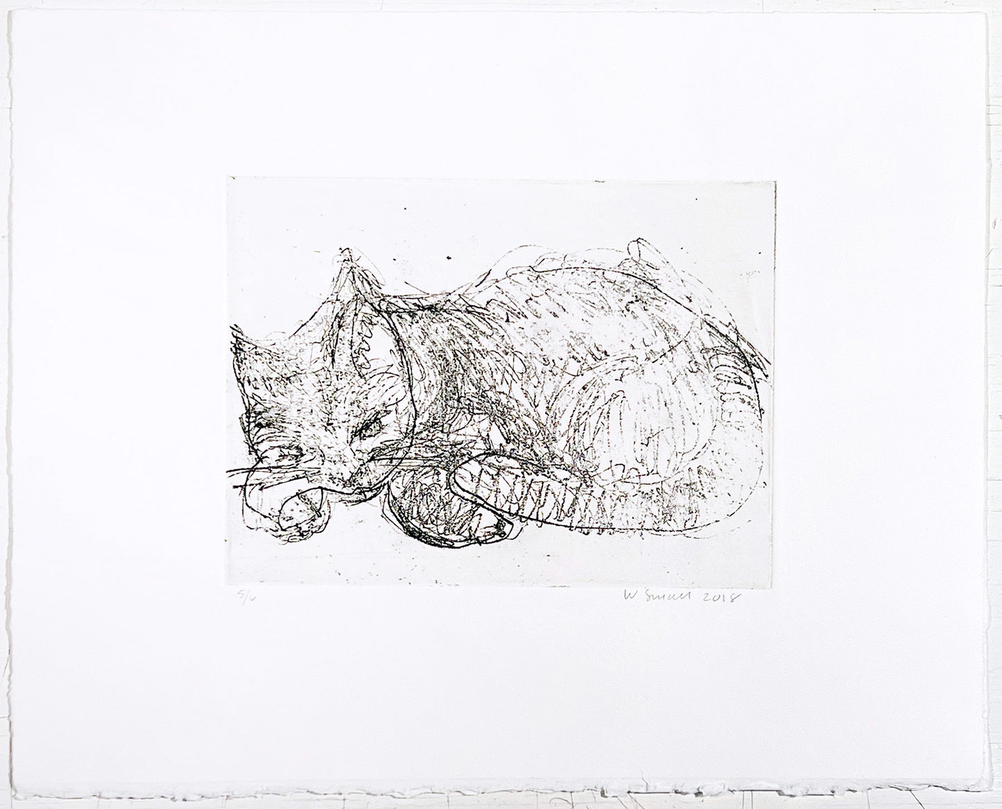 Wendy Small Edition, Untitled