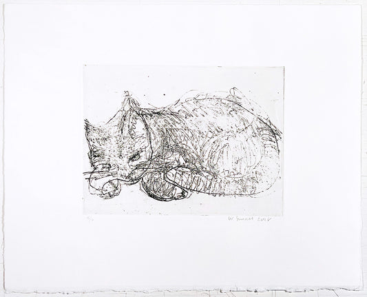 Wendy Small Edition, Untitled