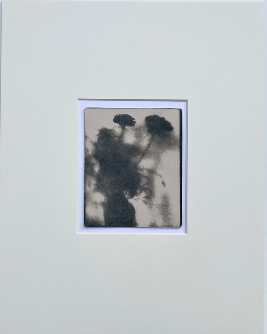 Wendy Small, Toned Cyanotype, Morning Shadows 1 (5x4)
