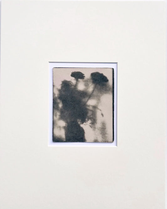 Wendy Small, Toned Cyanotype, Morning Shadows 1 (5x4)
