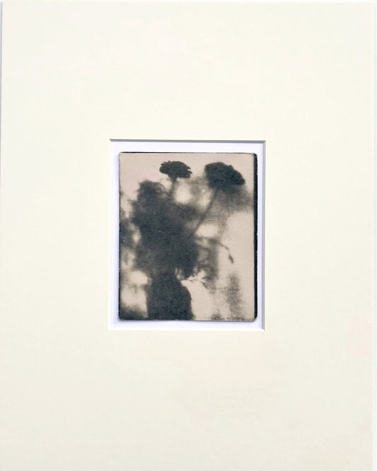 Wendy Small, Toned Cyanotype, Morning Shadows 1 (5x4)