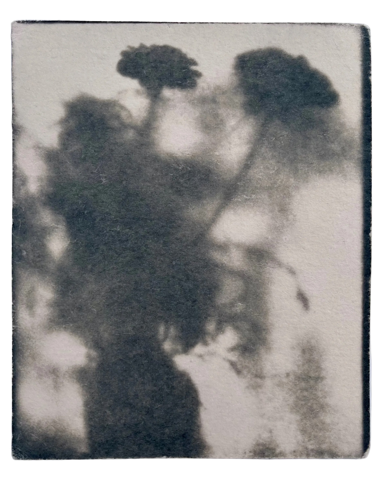 Wendy Small, Toned Cyanotype, Morning Shadows 1 (5x4)