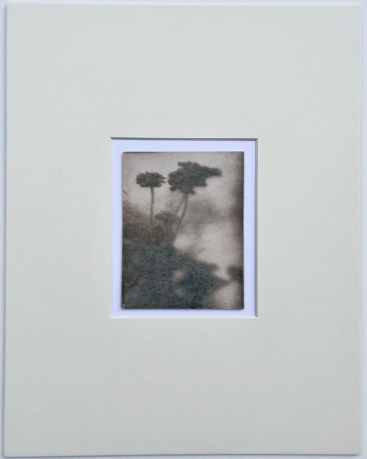 Wendy Small, Toned Cyanotype, Morning Shadows 3 (5x4)