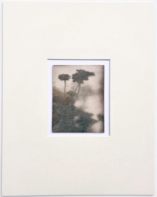 Wendy Small, Toned Cyanotype, Morning Shadows 3 (5x4)