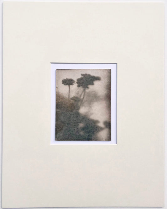 Wendy Small, Toned Cyanotype, Morning Shadows 3 (5x4)