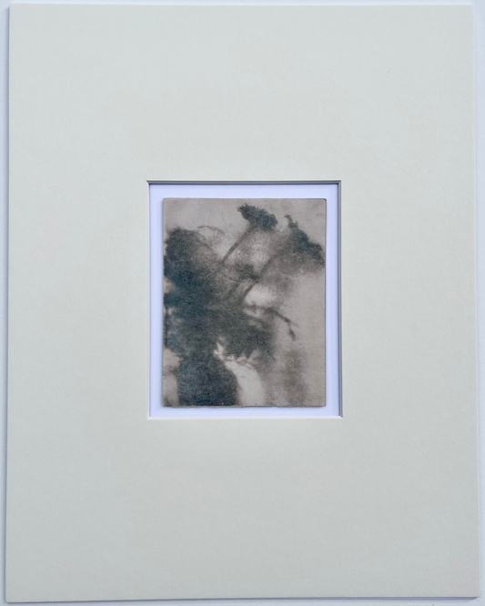 Wendy Small, Toned Cyanotype, Morning Shadows 4 (5x4)