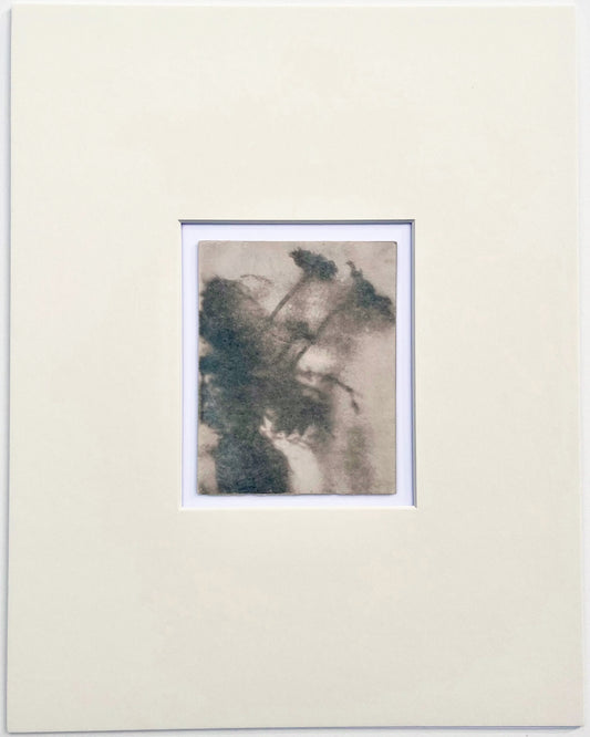 Wendy Small, Toned Cyanotype, Morning Shadows 4 (5x4)
