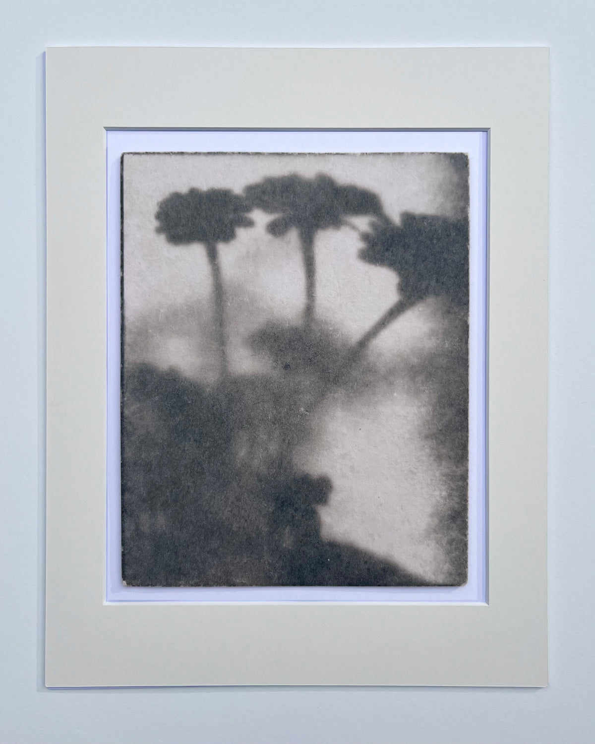 Wendy Small, Toned Cyanotype, Morning Shadows 5 (10x8)