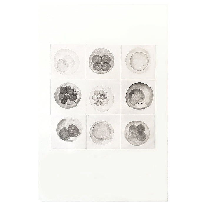 Beatrice Steinert Edition, Cell Sketches