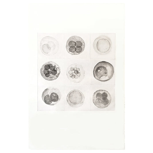 Beatrice Steinert Cell Sketches Intaglio Print